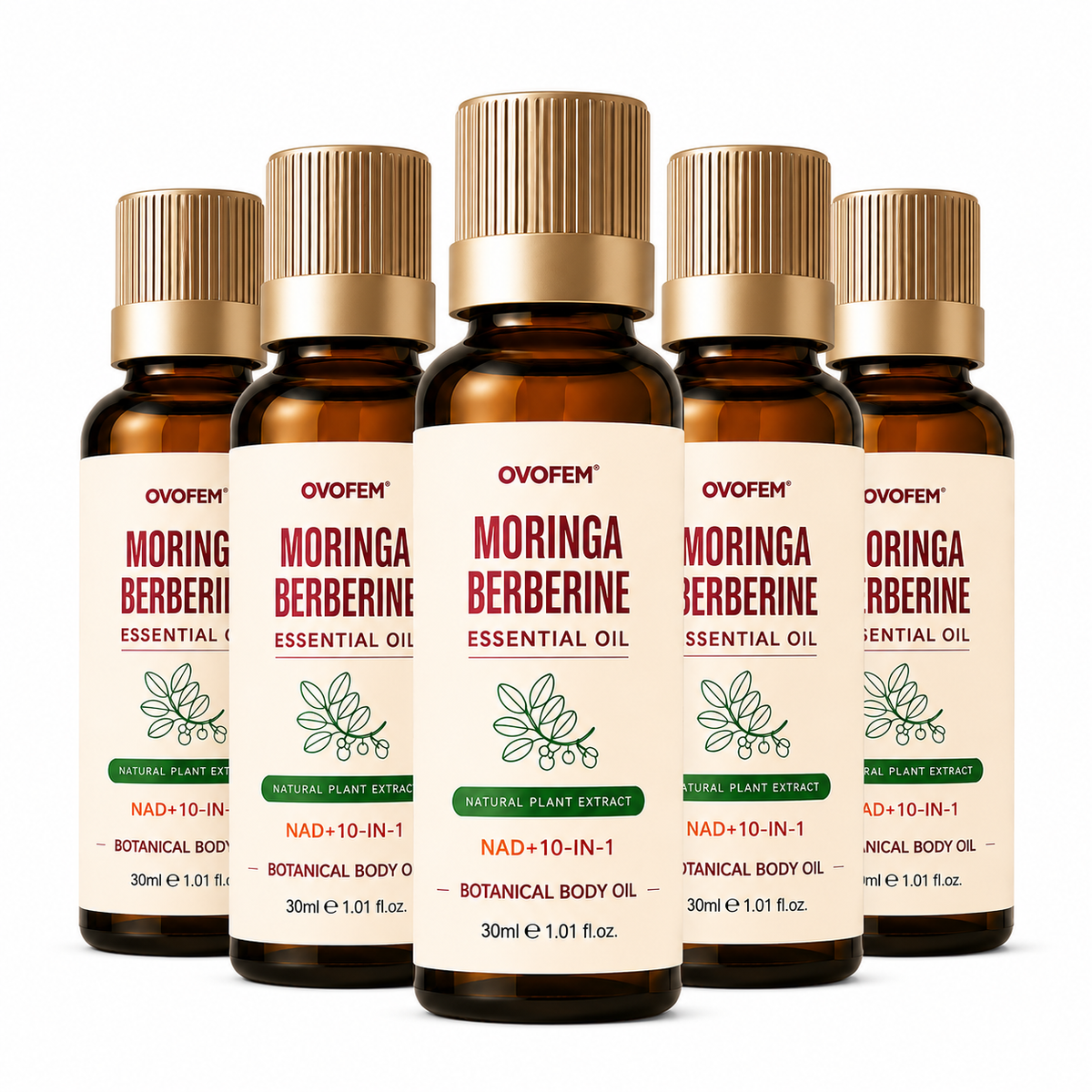 DAILY SUPPORT ESSENTIAL OIL