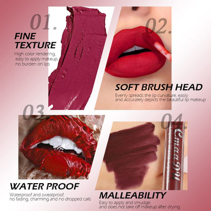 10-Piece Matte Waterproof Lip Gloss Set – Bold Color, All-Day Stay（2）
